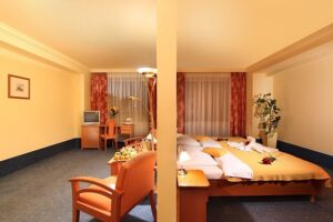 Hotel Albion Prag